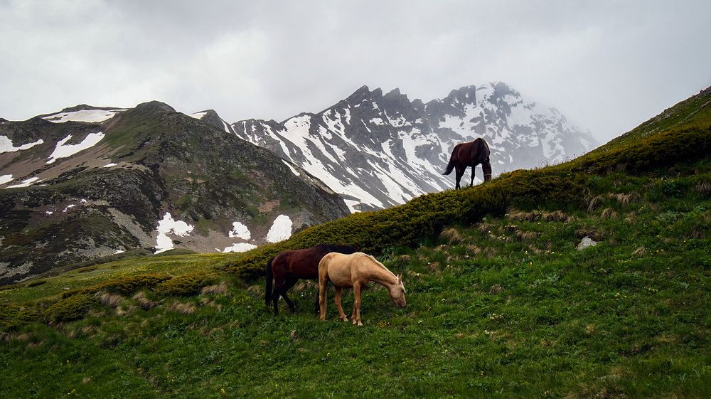 Photograph by Вадим Карпов