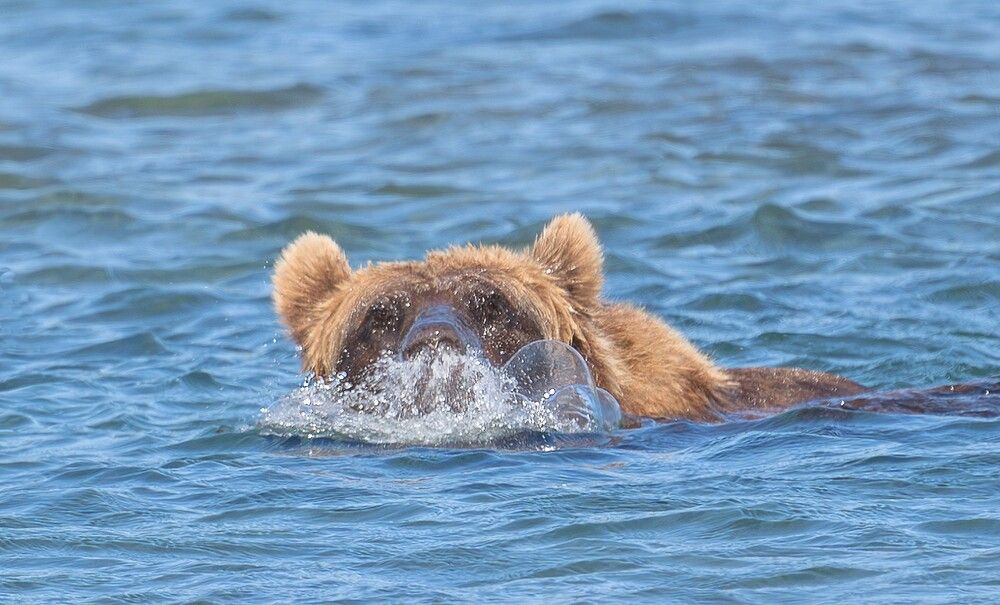 Photograph by Ольга Ченцова