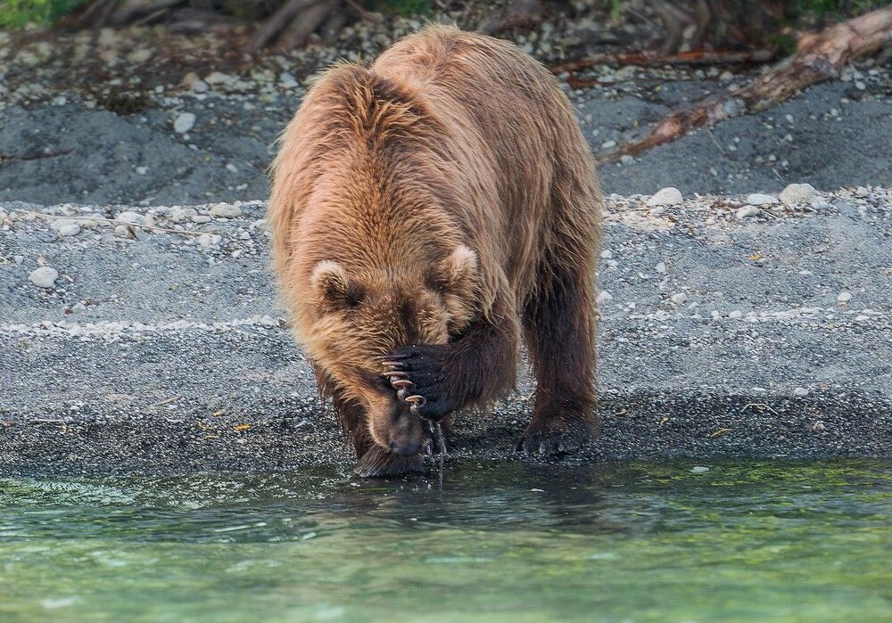 Photograph by Ольга Ченцова