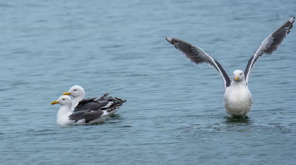 Photograph by Ольга Ченцова