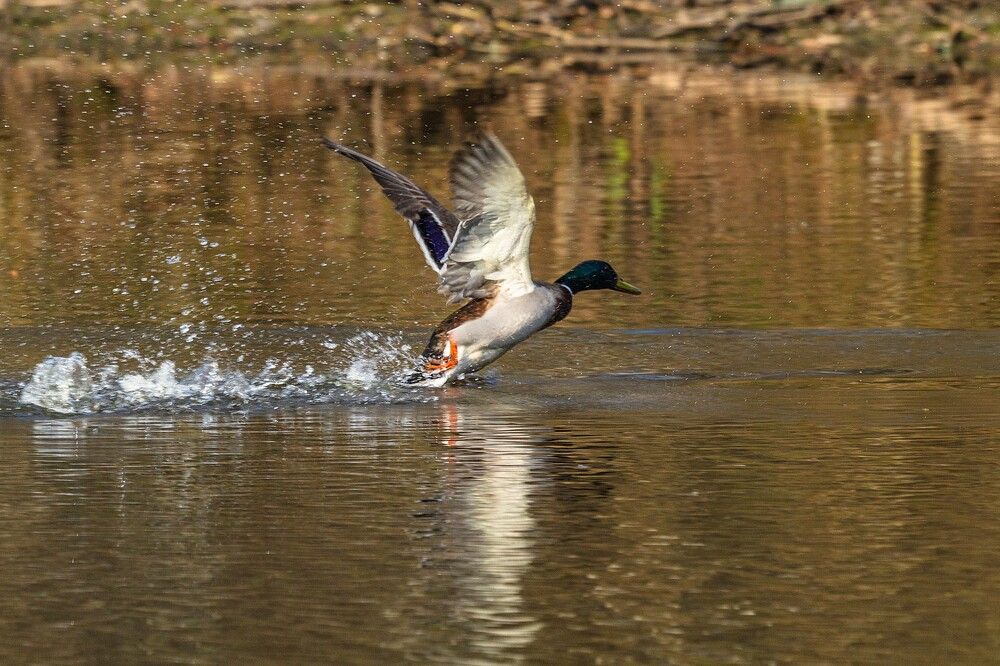 Photograph by Литвинов Александр