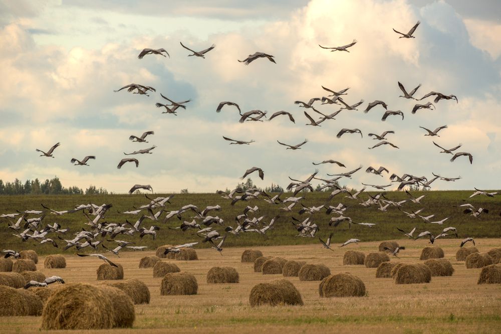 Photograph by Литвинов Александр