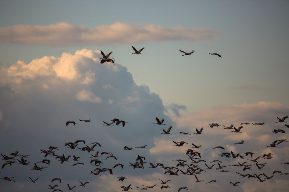 Photograph by Литвинов Александр