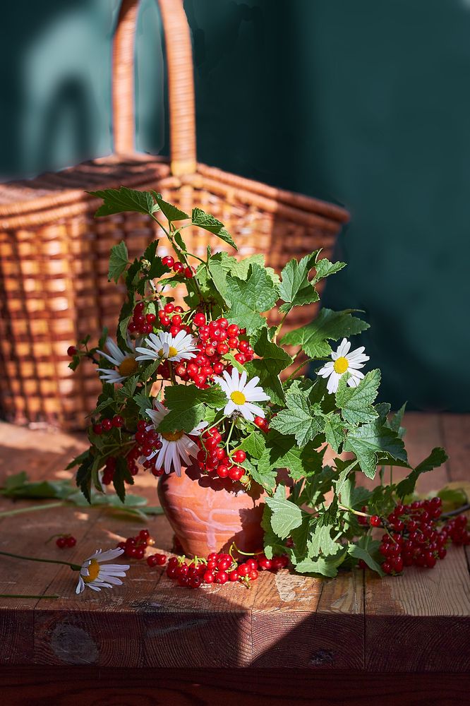 Photograph by Наталья Шевелева