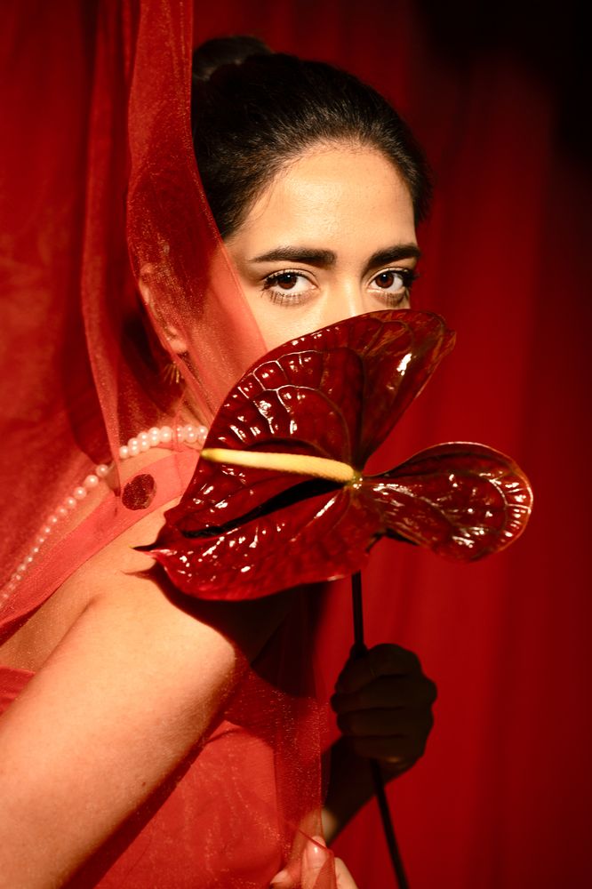 Veiled in Red