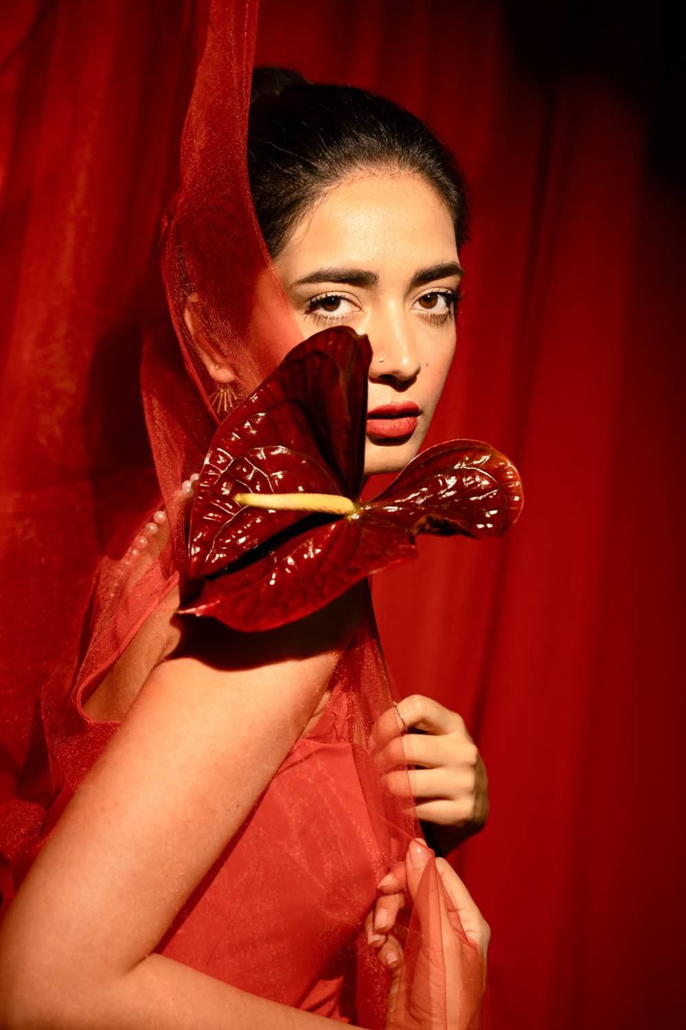 Veiled in Red