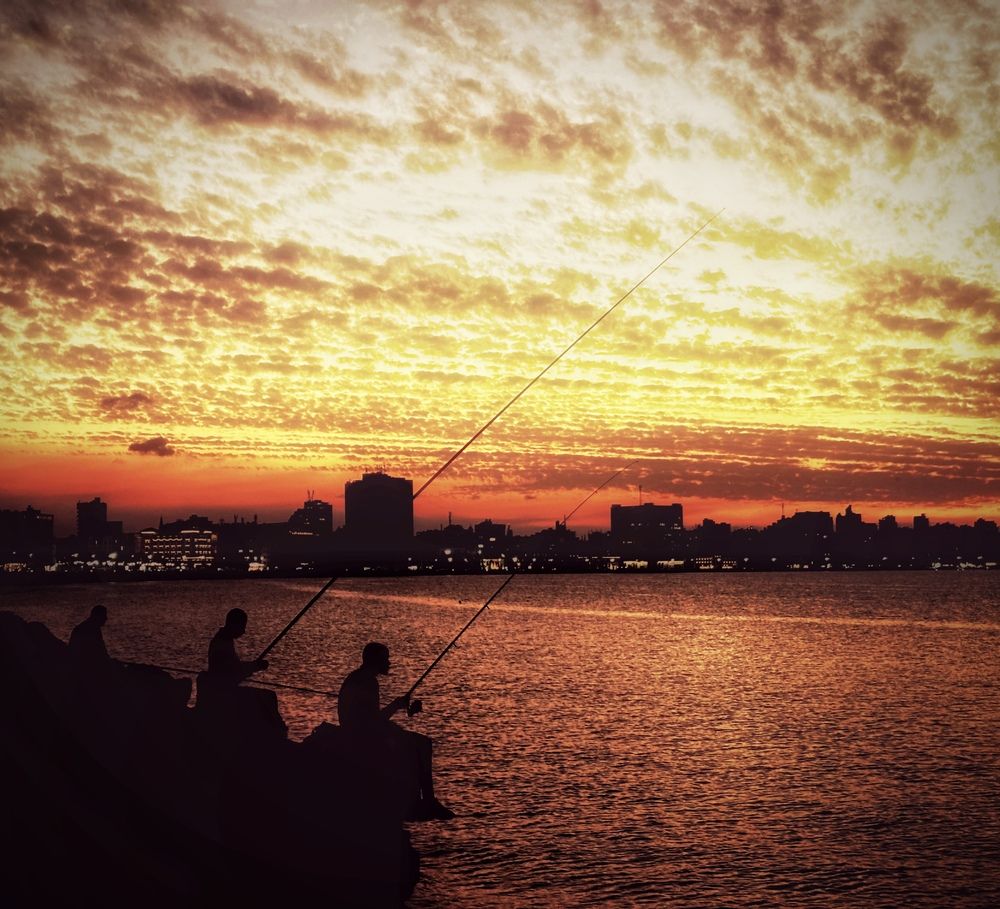 Photograph by Moamen Khaled