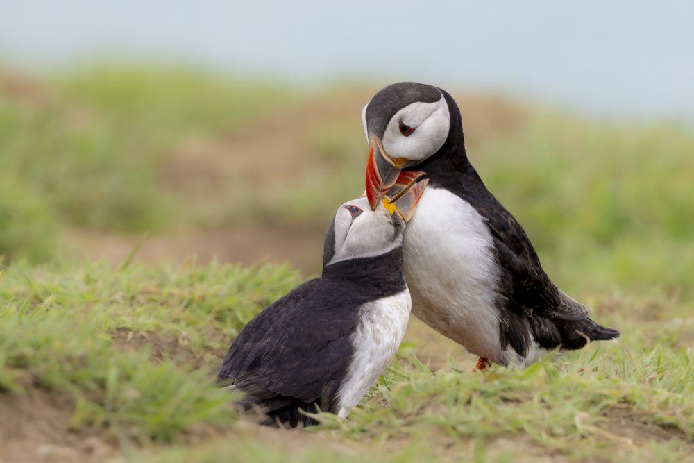 Photograph by Ellen Lichtenheldt