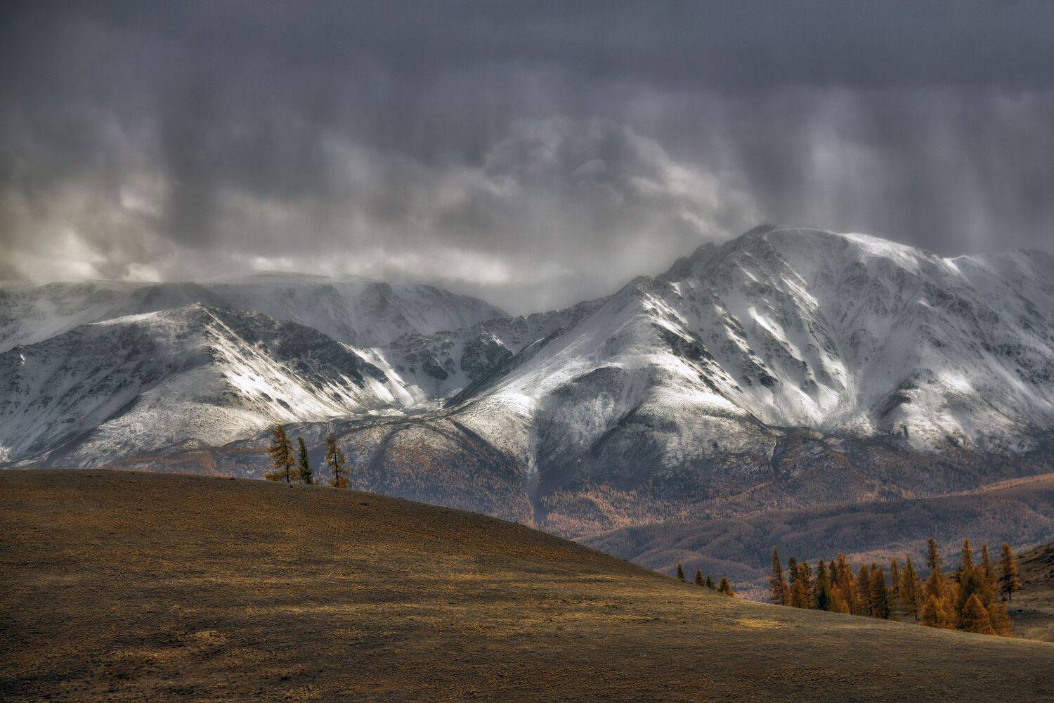 Между светом и тенью / Between Light and Shadow