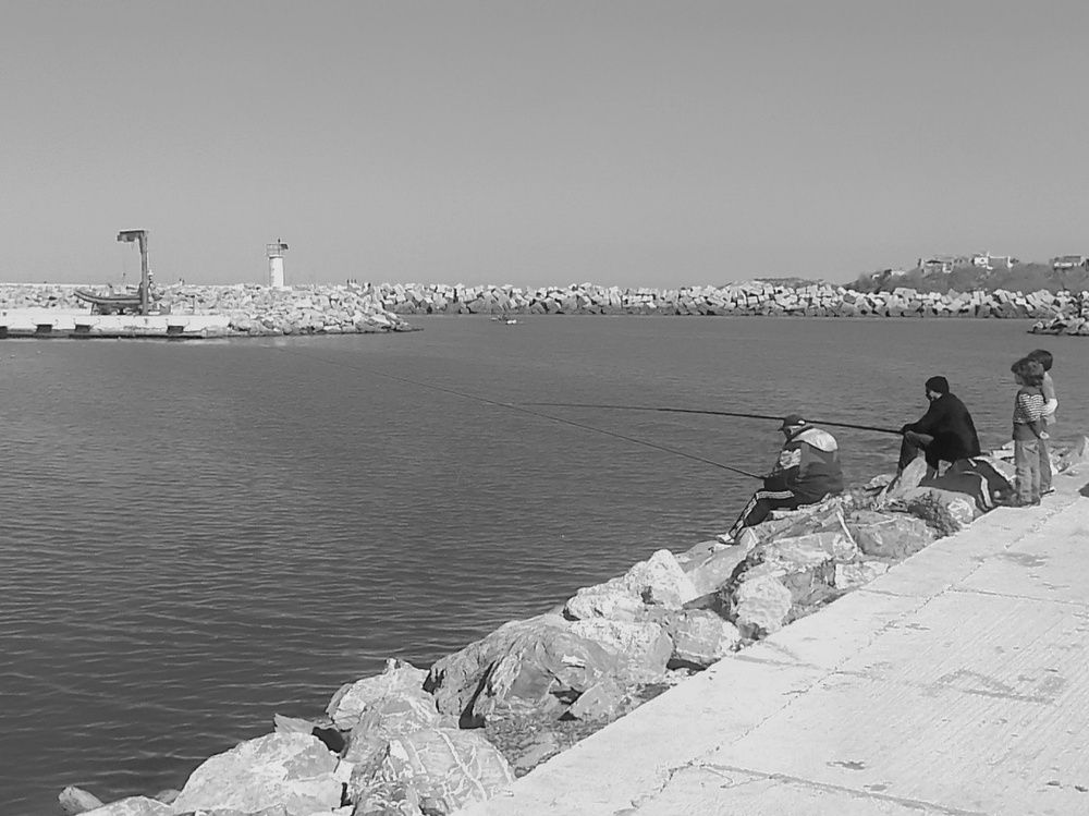 Photograph by Azzeddine Memmou