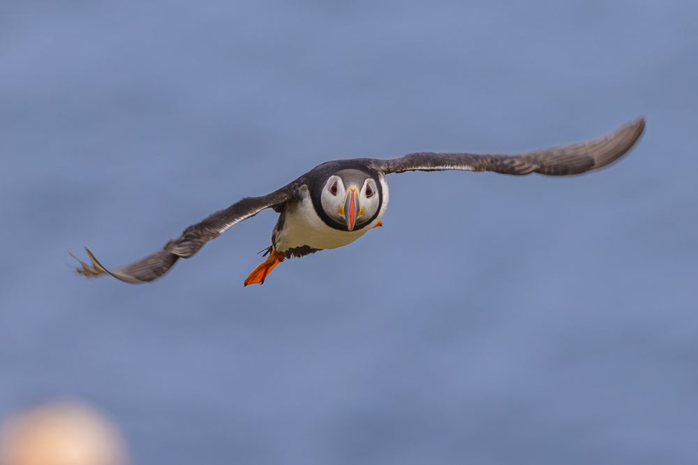 Photograph by Ellen Lichtenheldt