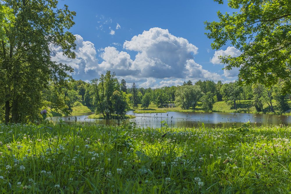 Фотография автора Андрей Игнатов