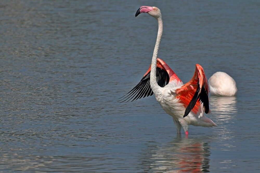 Photograph by Корнейчук Игорь