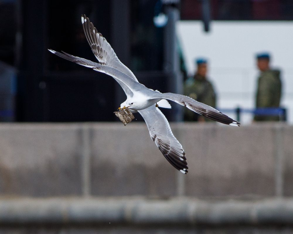 Photograph by Тоцкий Михаил
