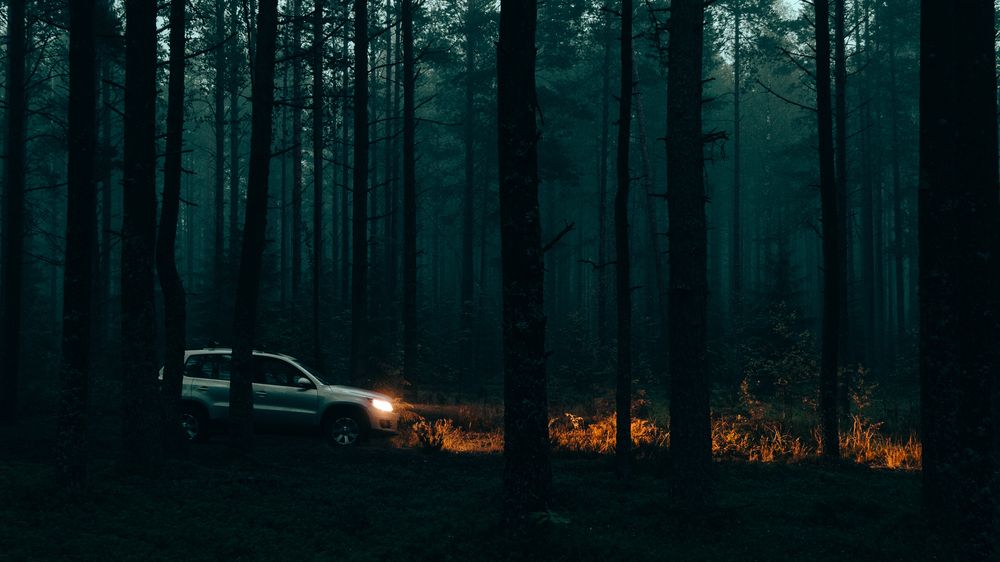 Photograph by Николай Рымар