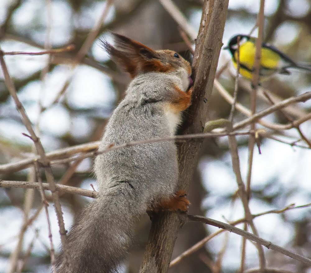 Photograph by Алексей Патлах