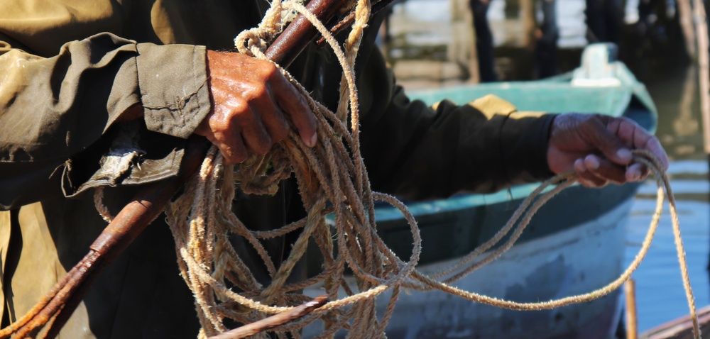 Photograph by Adelaida Frias Hernández