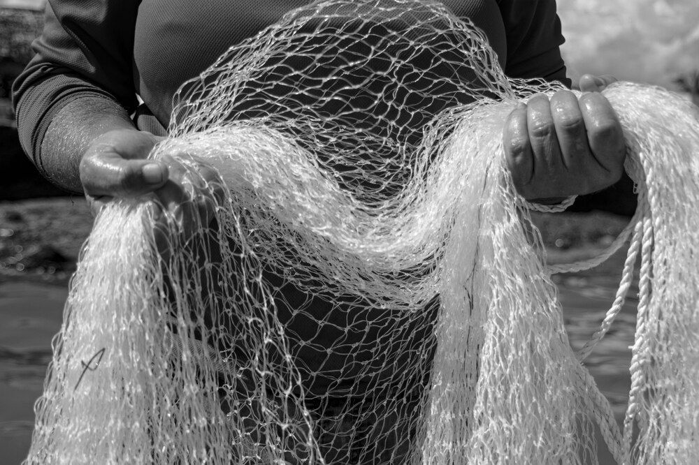 Photograph by Adelaida Frias Hernández