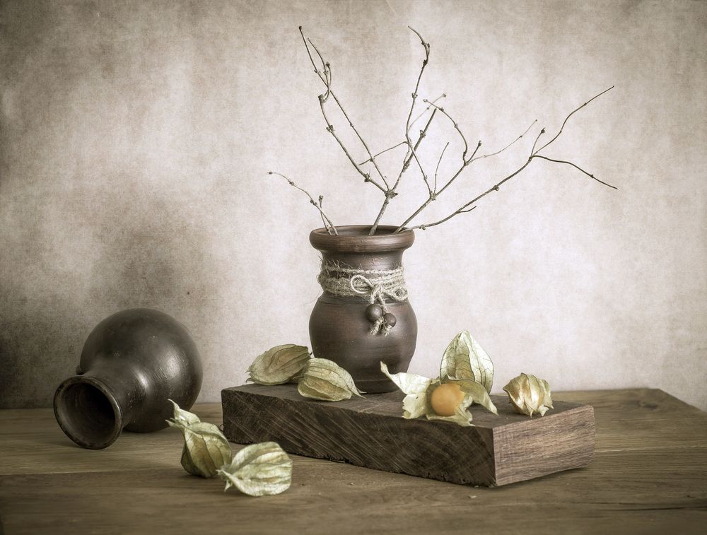 Фотография автора Анна Тихомирова