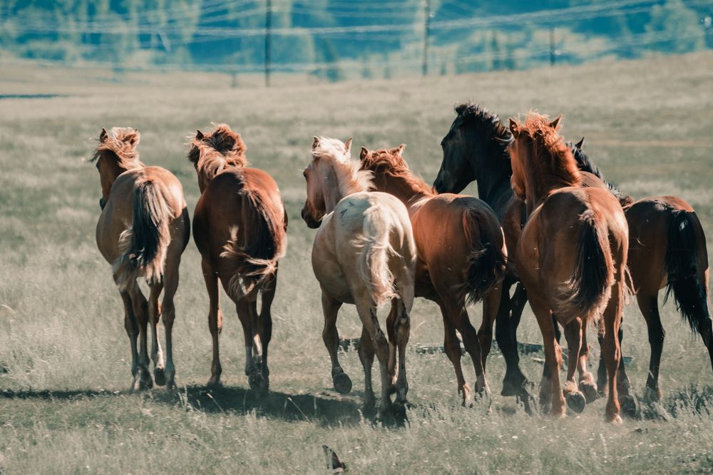 Photograph by Юрий Жданов