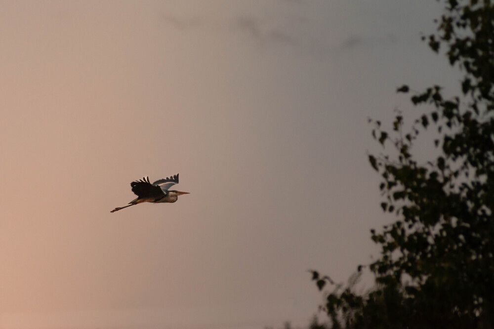 Photograph by Олег Бережных