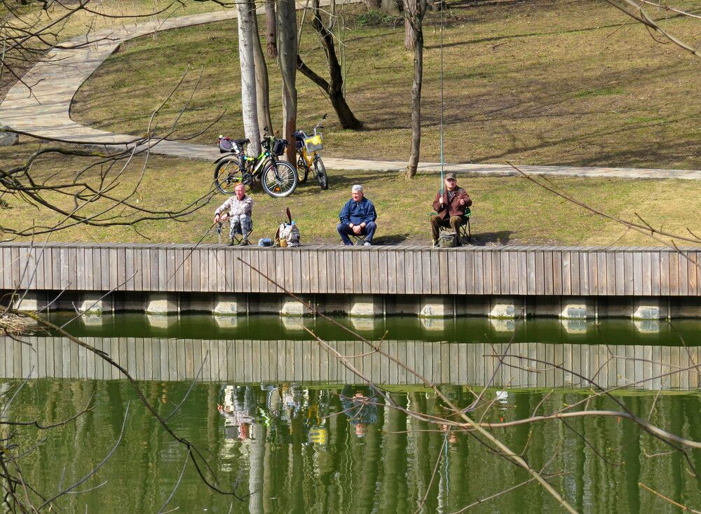 Photograph by Елена Казарина