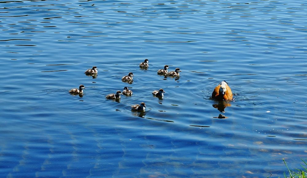 Photograph by Леонид Шнейдерман