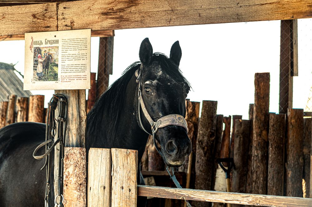 Photograph by Сергей Аникушин