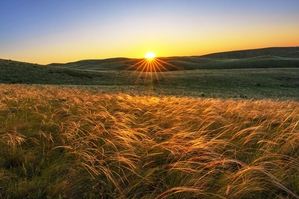 Photograph by Андрей Пучков