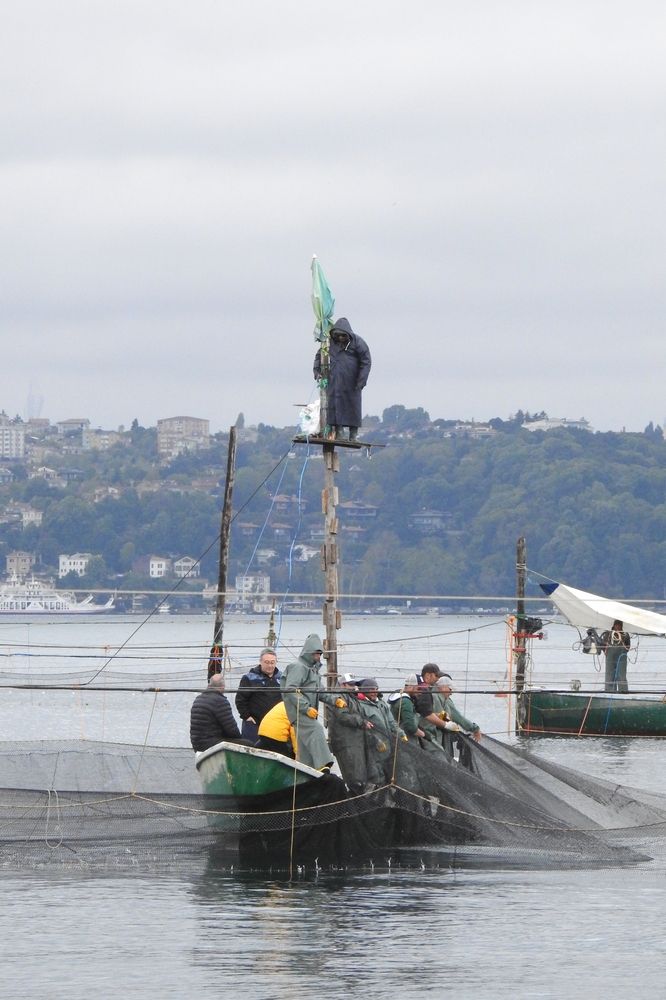 Photograph by fuat cimok