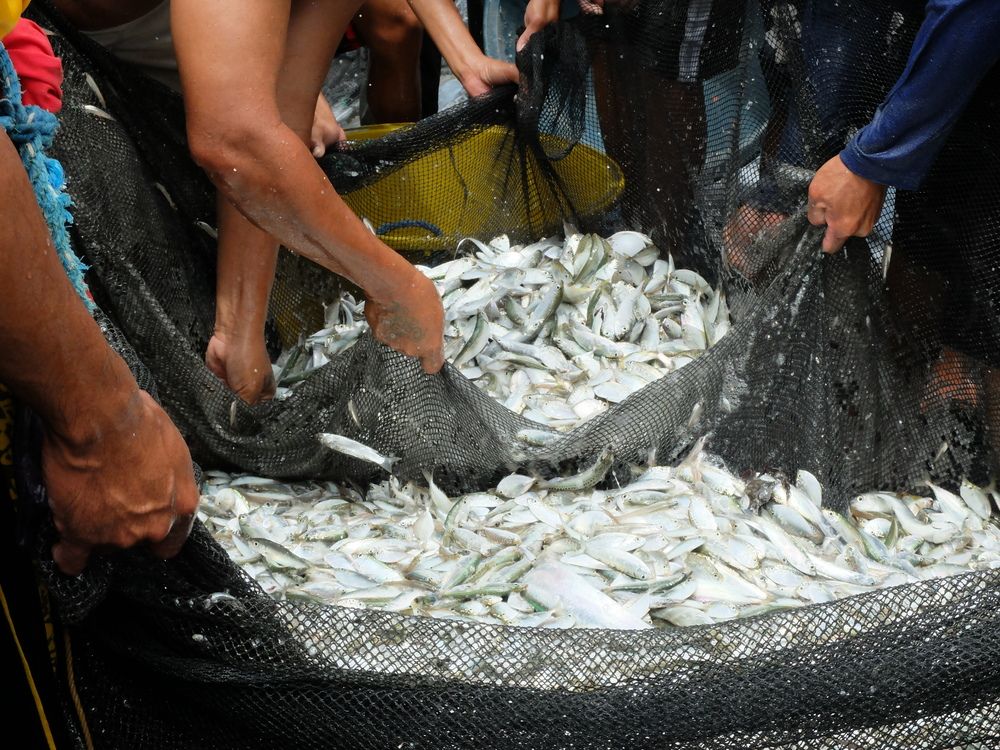 Photograph by Daryl Salazar