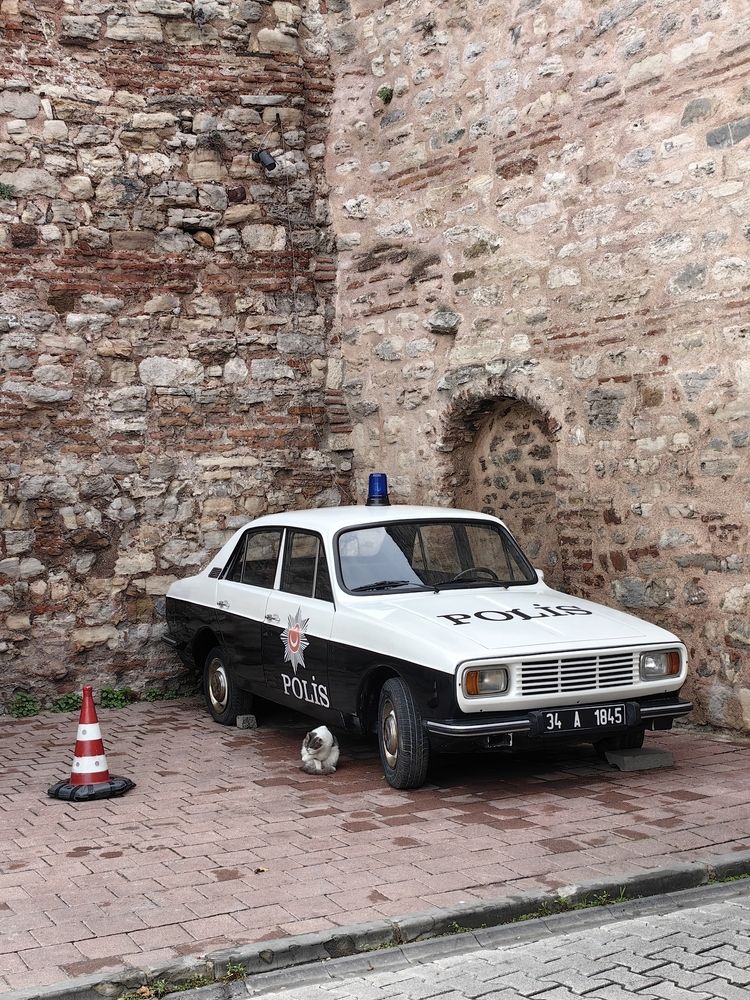 Photograph by Veranika Siratsinina