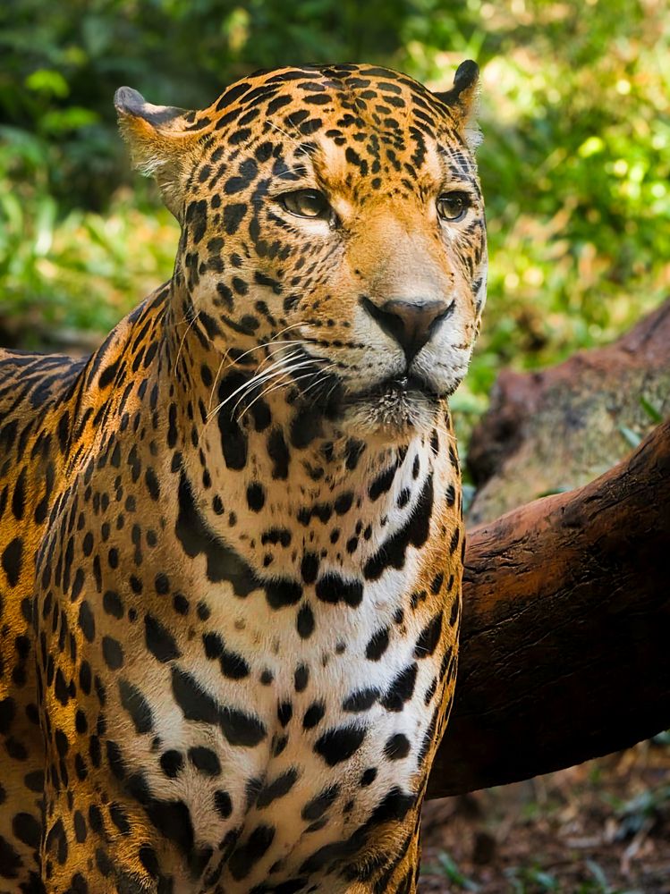 Photograph by Rafaela Gallego