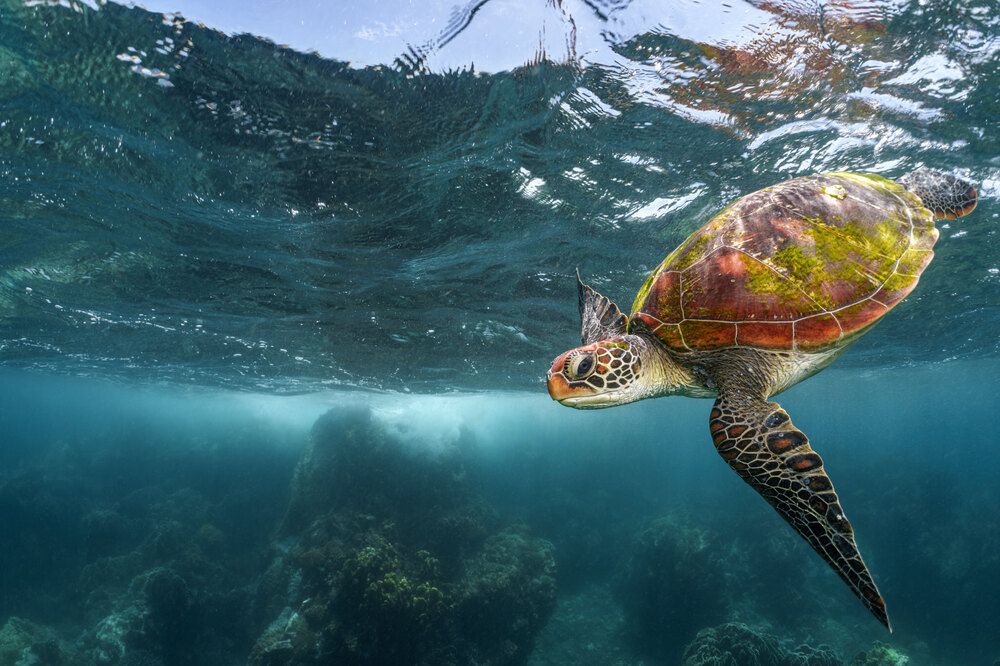 Photograph by Савин Андрей