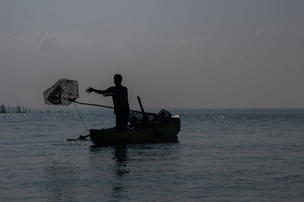 Photograph by Chamara Sulakkhana Polwatta Siriyalage