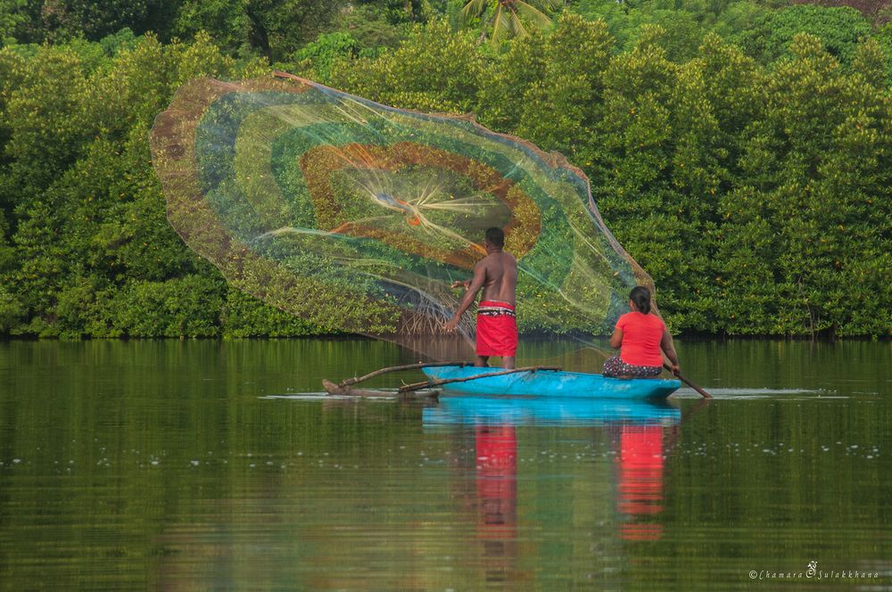 Photograph by Chamara Sulakkhana Polwatta Siriyalage