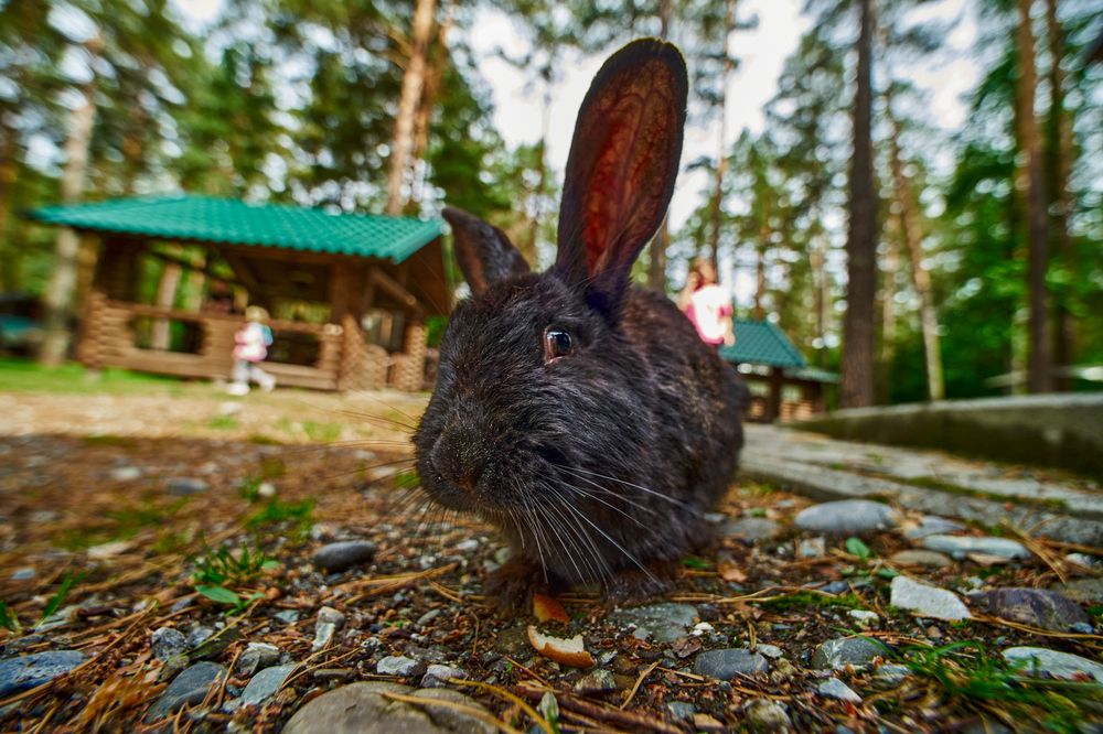 Фотография автора Игорь Игоревич