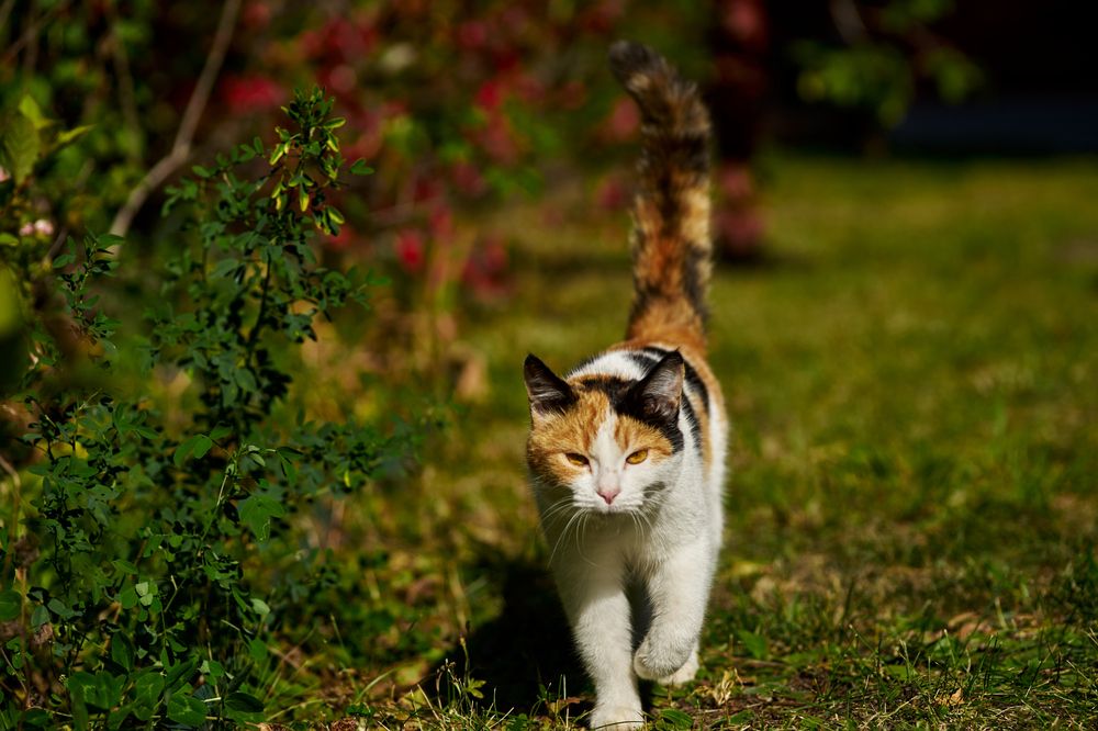 Фотография автора Игорь Игоревич