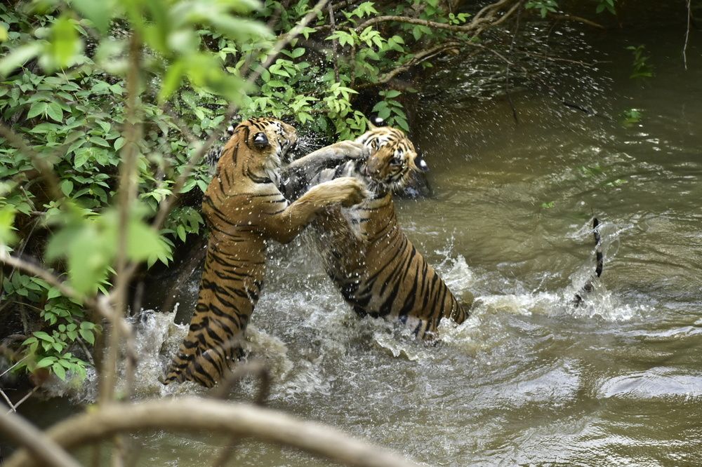Photograph by Sheetal