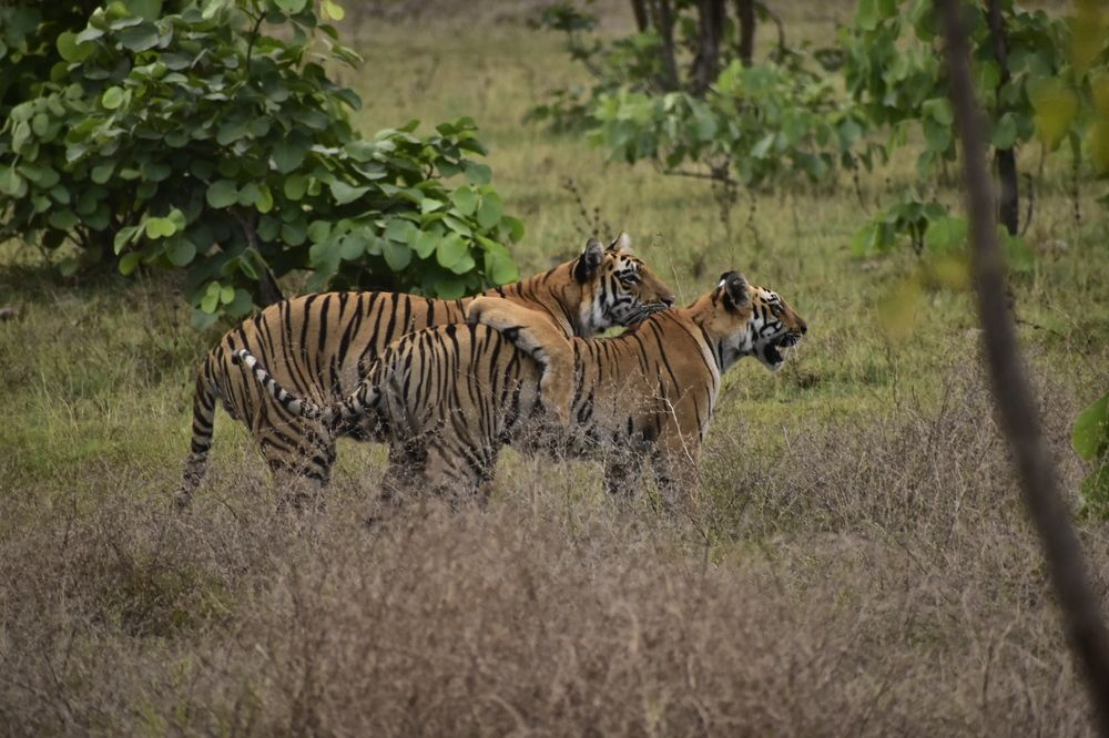 Photograph by Sheetal