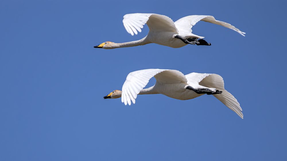 Photograph by Олег Белан