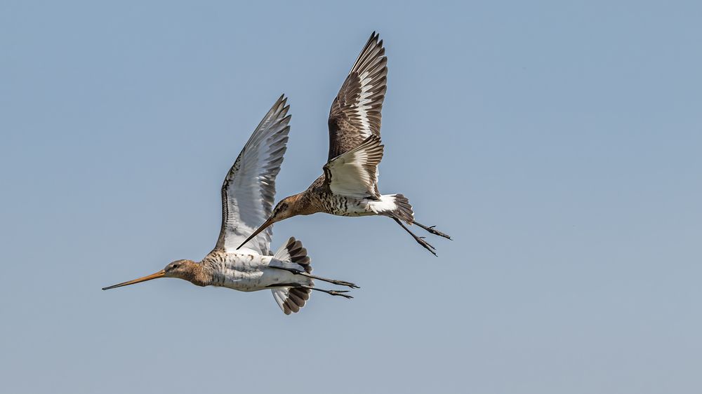 Photograph by Олег Белан