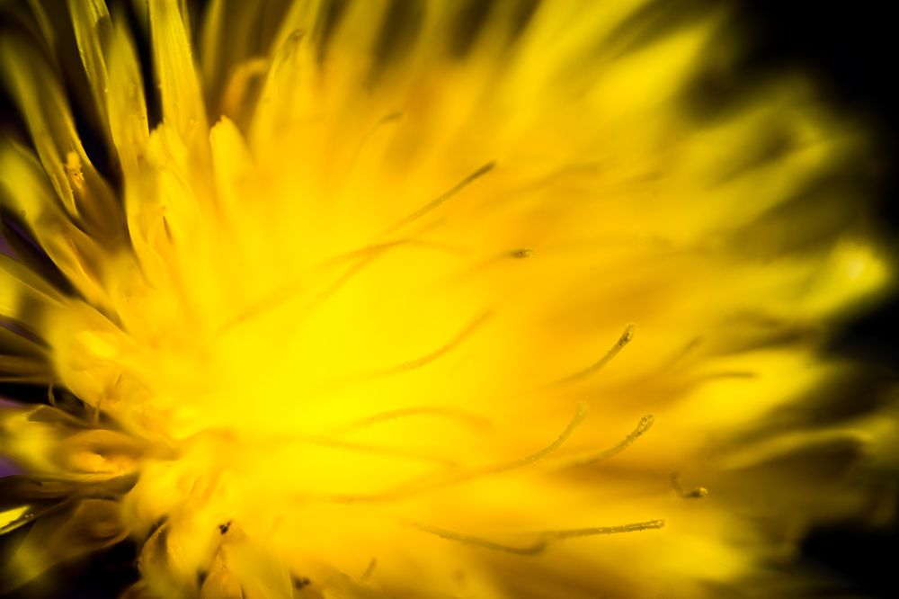 Photograph by Thaïs de Benoist de Gentissard