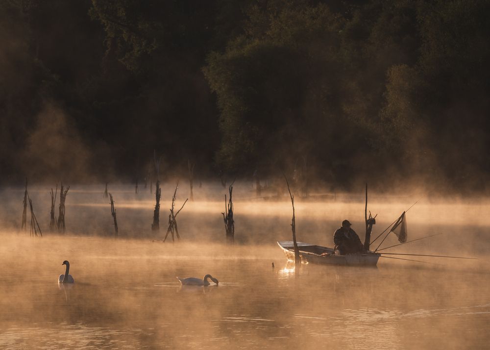 Photograph by Dejan Zakic