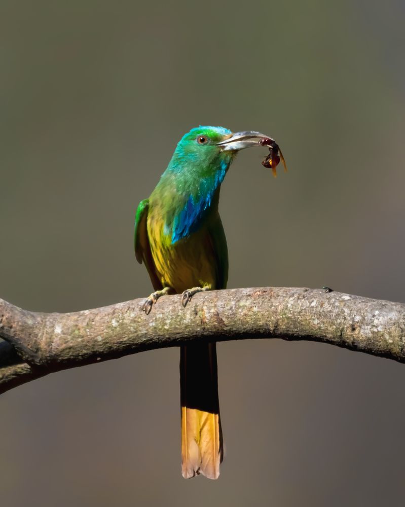 Photograph by Sathishkumar S