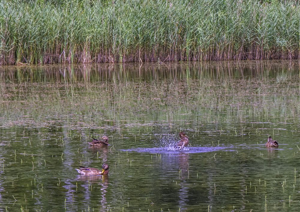 Photograph by Цветков Сергей