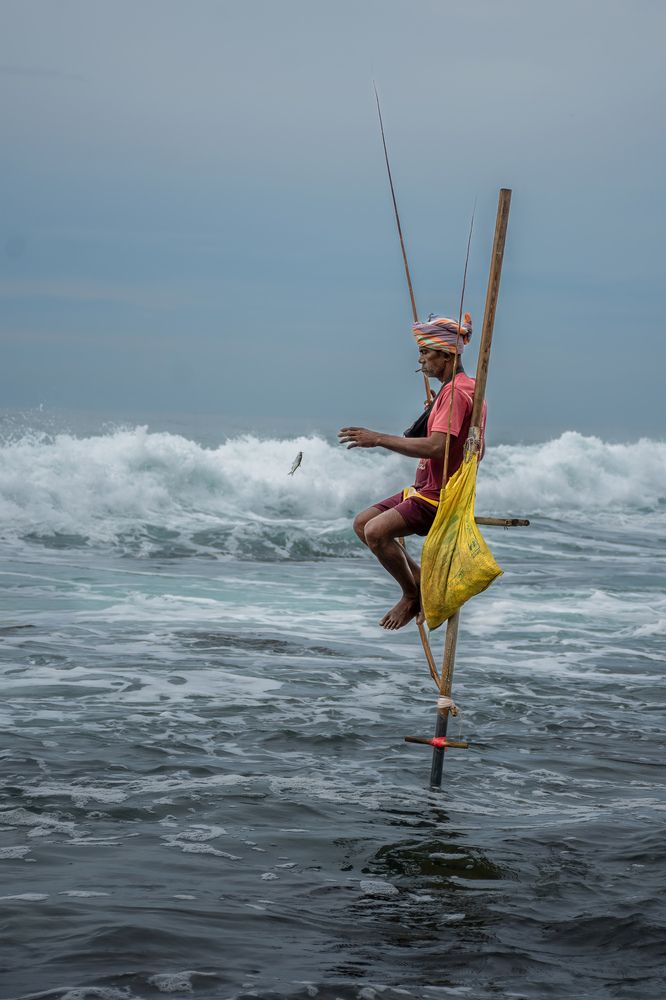 Photograph by Shehan Dondeenu