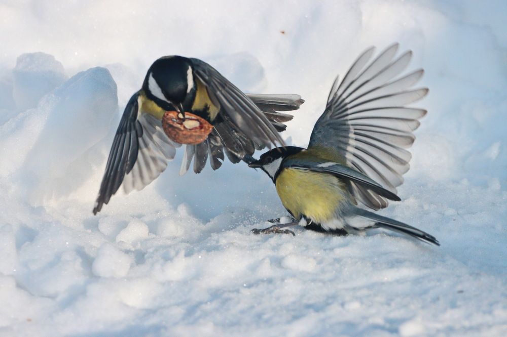 Photograph by Сергей Маслов