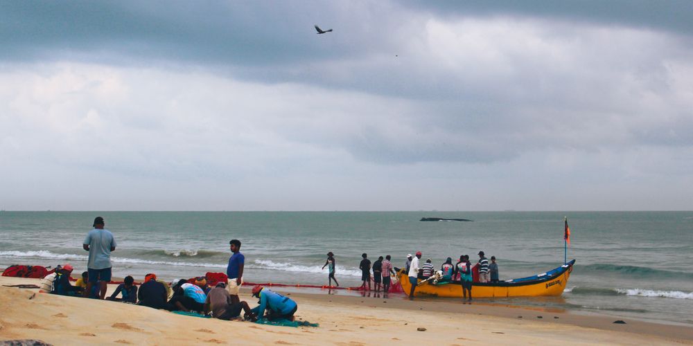 Photograph by Venkatesh r Kamath