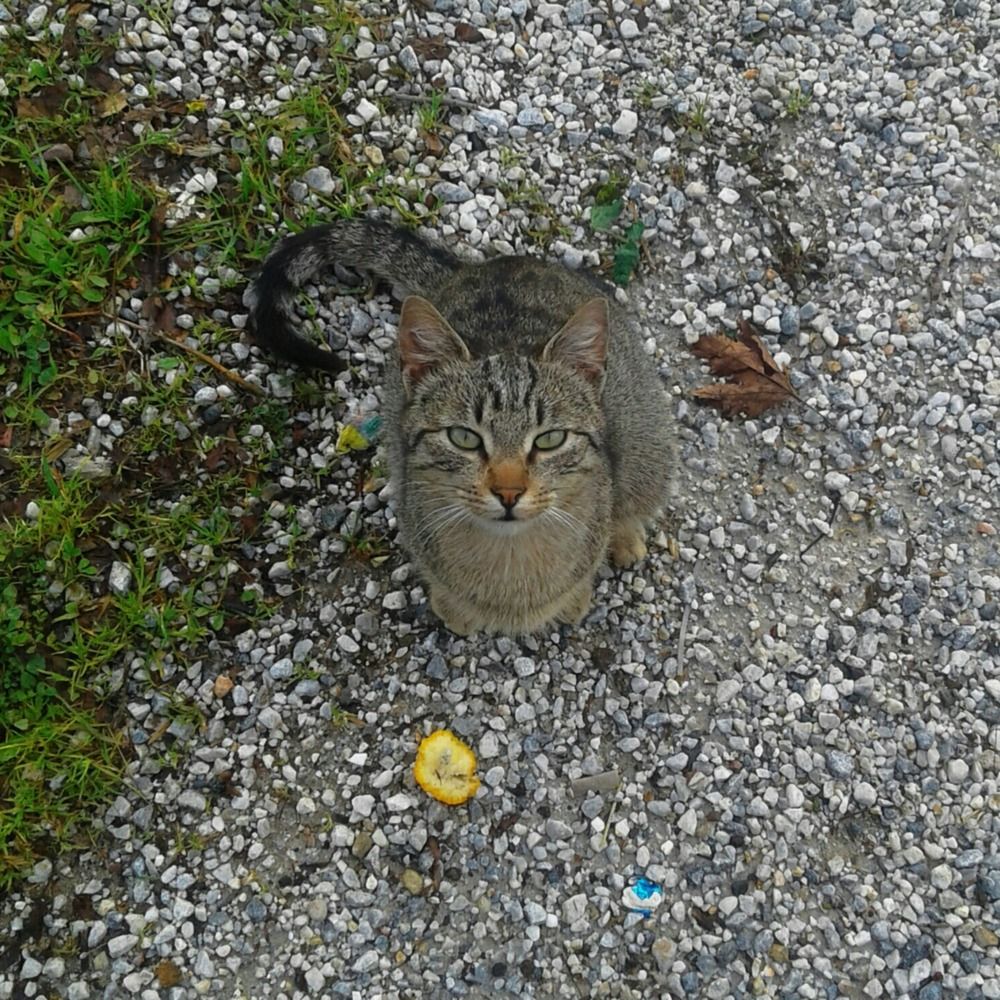 Photograph by Назифе Идилли Озкол